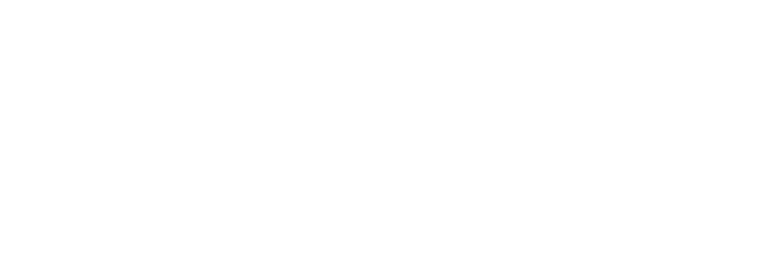 Viajes y Viajes